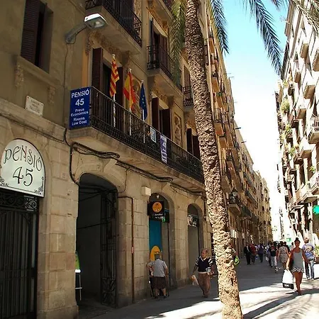 Casa de hóspedes 45 *